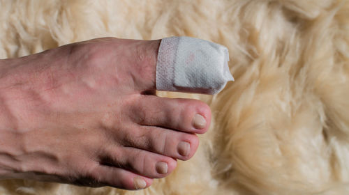 Close-up of hand holding mannequin