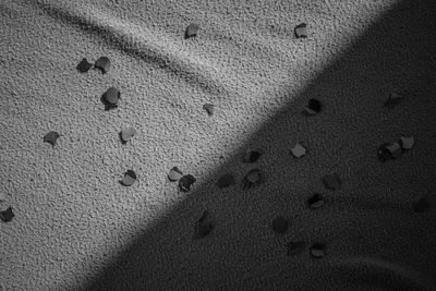 High angle view of footprints on sand