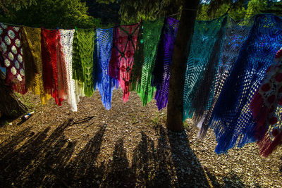 View of multi colored trees