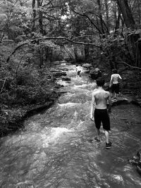 Rear view of man walking in forest