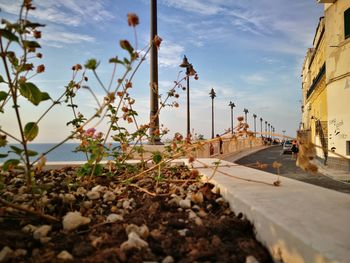 Scenic view of sea and bridge against sky