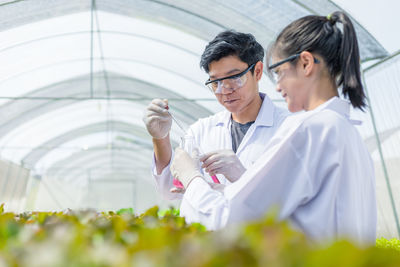 Botanist checking pants in greenhouse