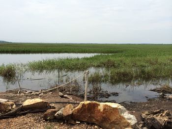 Scenic view of landscape against sky