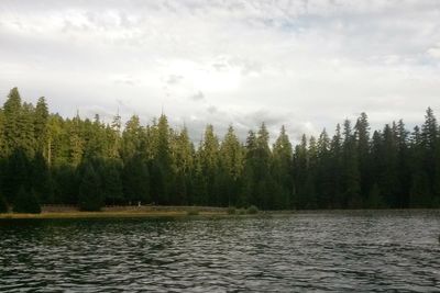 Scenic view of lake by trees against sky