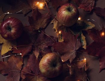 High angle view of apples on table