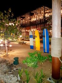 Illuminated potted plants by building at night