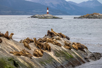 Scenic view of sea