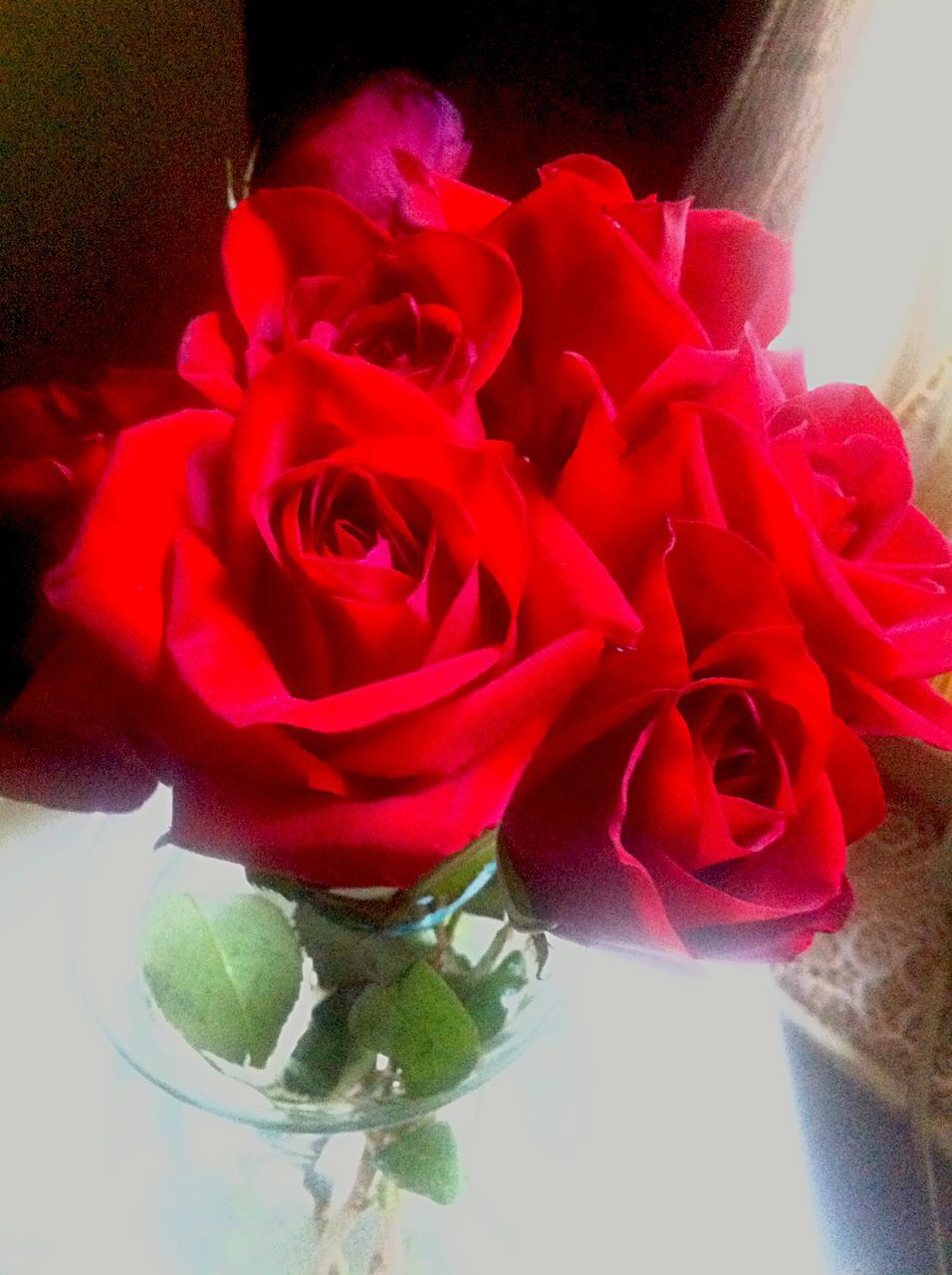 flower, indoors, petal, freshness, flower head, fragility, vase, rose - flower, red, close-up, beauty in nature, table, rose, home interior, bouquet, pink color, nature, flower arrangement, plant, growth