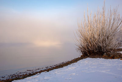 Snow covered field against sky