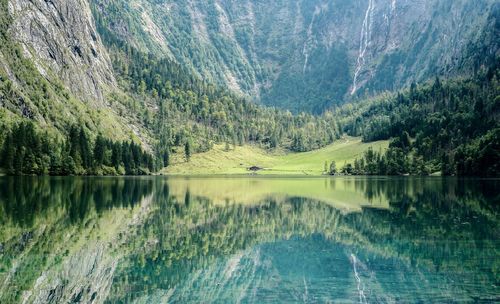 Scenic view of lake in forest