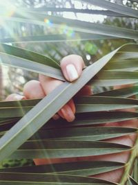 Close-up of human hand