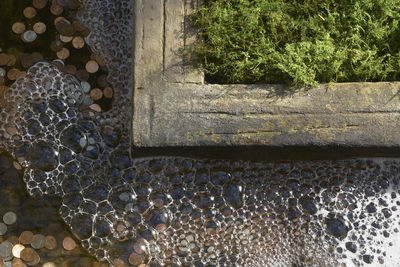 Close-up high angle view of stone