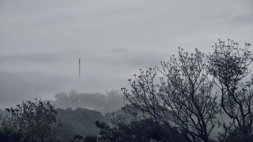 Scenic view of trees against cloudy sky