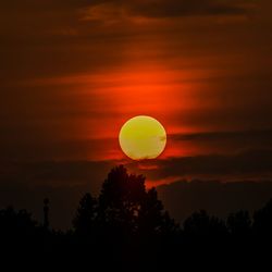 Silhouette trees against orange sky