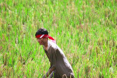 View of a bird on grass