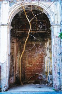 Closed door of old building