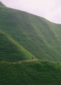 Scenic view of green mountain