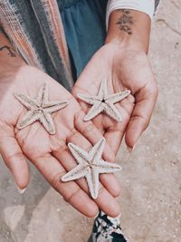 Close-up of human hands holding dead starfish at beach