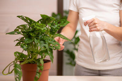 Close-up cropped shot of unrecognizable young woman florist spraying water on houseplants 