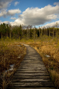 Dirt road in forest against sky