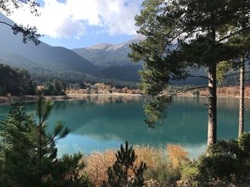 Scenic view of lake by trees against sky