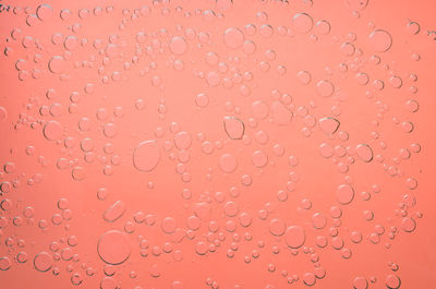 Full frame shot of bubbles against coral background