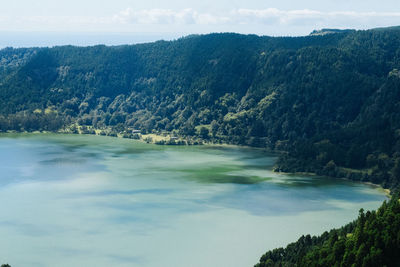 Scenic view of lake in forest against sky