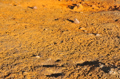 Full frame shot of mud on field