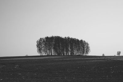 Trees on field against clear sky
