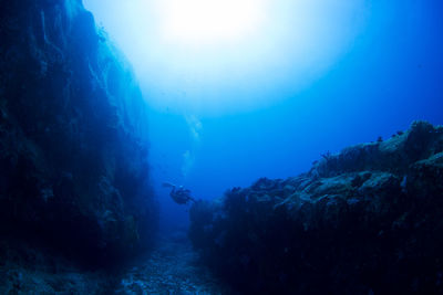 Man swimming in sea