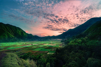 Scenic view of landscape against sky during sunset