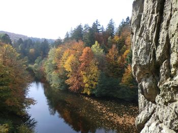 Scenic view of river with trees in background