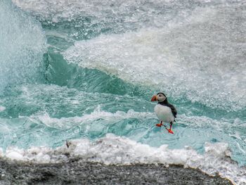 Waves splashing on rocks