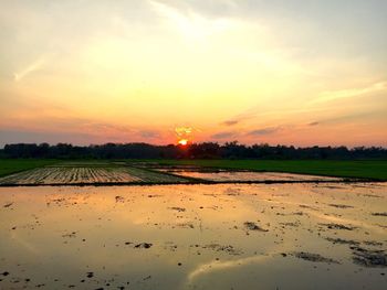 Scenic view of field against sky during sunset