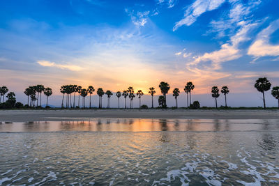 Palm trees by swimming pool against sky during sunset