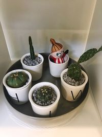 Close-up of potted plants on table