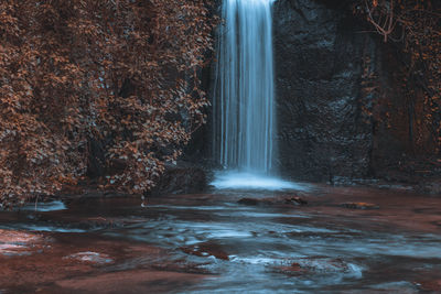 Scenic view of waterfall in forest