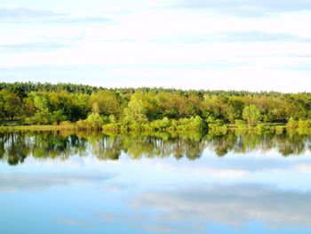 Reflection of trees in calm lake