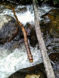 View of waterfall in forest