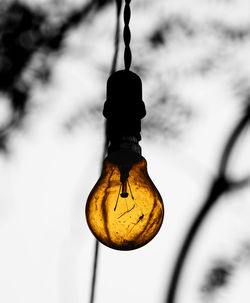 Close-up of hanging against sky