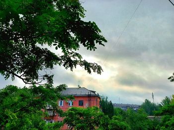 Trees and buildings against sky