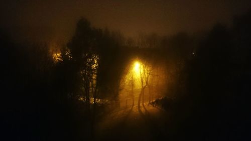 Silhouette trees by lake against sky at night