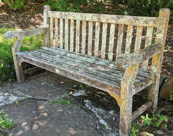 Close-up of chair on tree trunk