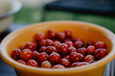 High angle view of fruits in bowl on table