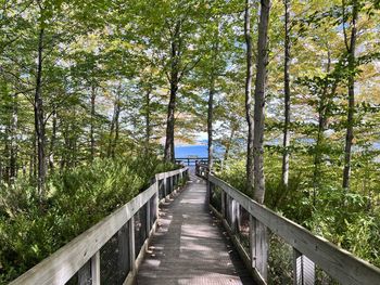 Rear view of man walking on footbridge