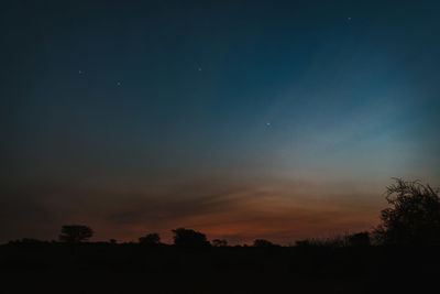 Silhouette trees against sky at night