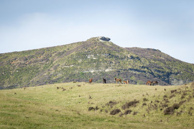 Scenic view of landscape against sky