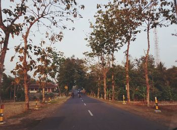 Road amidst trees against sky in city