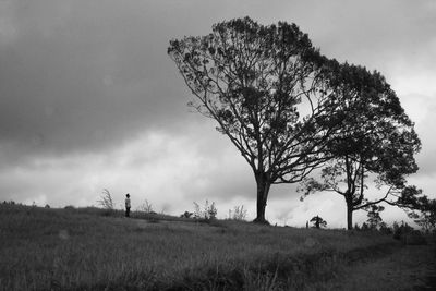 Trees on field against cloudy sky