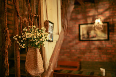 View of potted plants against wall at home